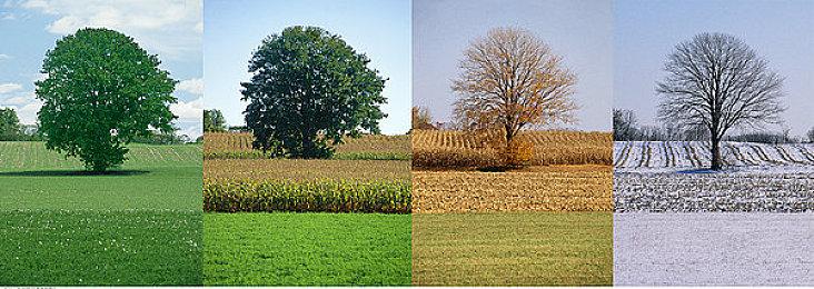 回合制RPG《摔跤物语》Steam上架 暂不支持简中